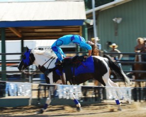 Sally Bishop, Ponoka Stampede